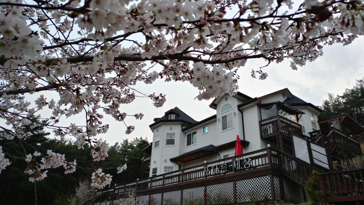 Another World Pension Gyeongju Bagian luar foto